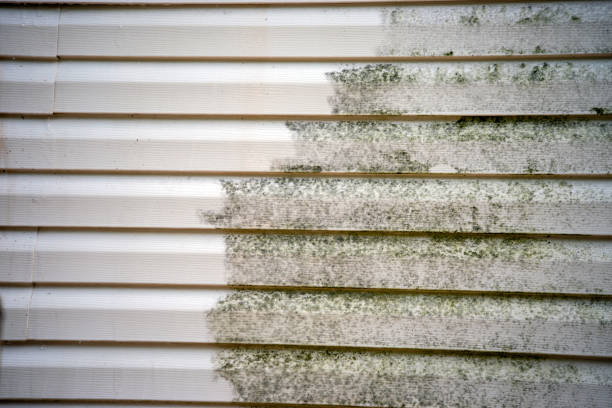 Best Aluminum Siding Installation  in Hamilton, AL